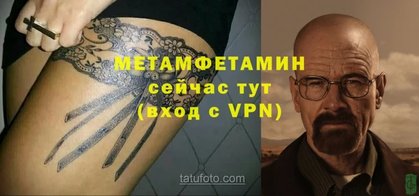 гидра Мегион