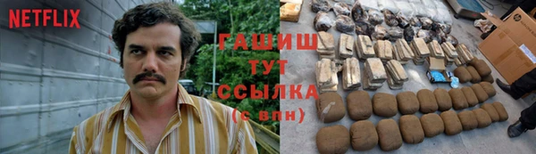гидра Мегион