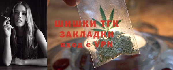 гидра Мегион