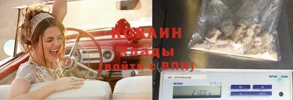 сатива Медвежьегорск