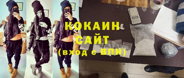гидра Мегион