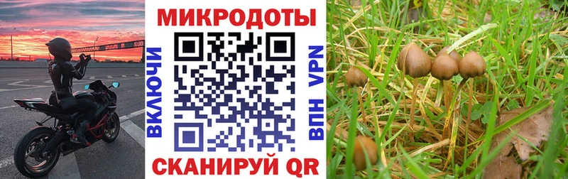 hydra сайт  Звенигово  Галлюциногенные грибы мицелий 